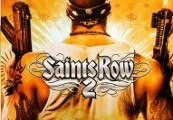 saints-row-2-steam-cd-key