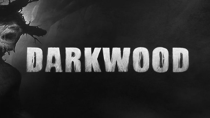 darkwood-steam-cd-key