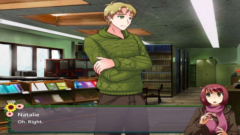 flower-shop-winter-in-fairbrook-steam-cd-key