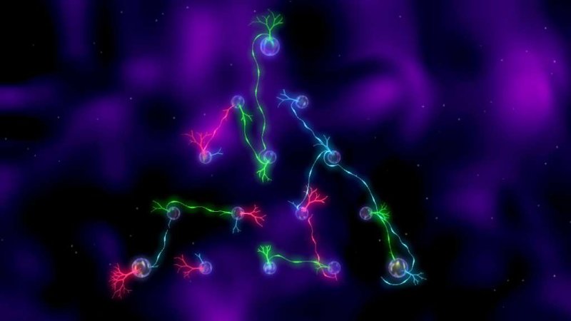 r-o-o-t-s-steam-cd-key