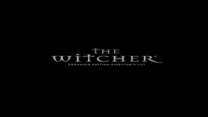 the-witcher-enhanced-edition-director-s-cut-gog-cd-key