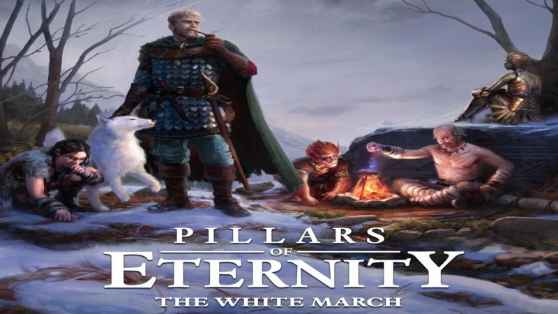 pillars-of-eternity-hero-edition-the-white-march-part-1-steam-cd-key