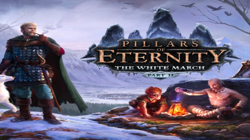 pillars-of-eternity-the-white-march-part-2-steam-cd-key