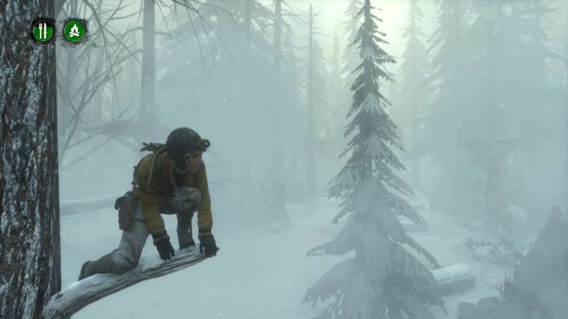 rise-of-the-tomb-raider-endurance-mode-dlc-steam-cd-key